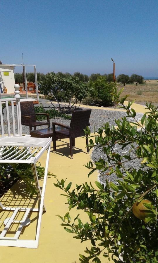 Mersinera Paradise Garden Stars House Larnaca Dış mekan fotoğraf