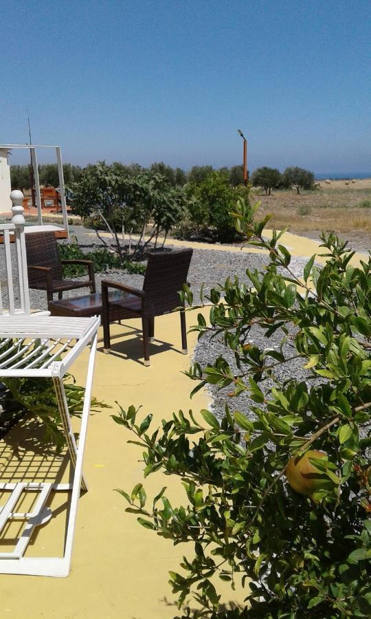 Mersinera Paradise Garden Stars House Larnaca Dış mekan fotoğraf