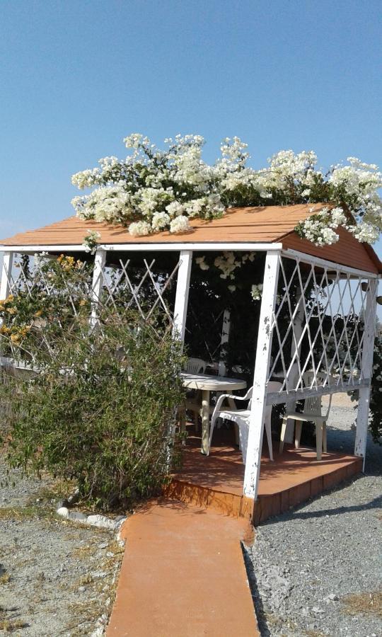 Mersinera Paradise Garden Stars House Larnaca Dış mekan fotoğraf