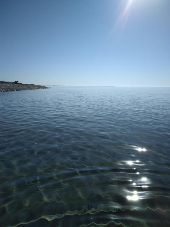 Mersinera Paradise Garden Stars House Larnaca Dış mekan fotoğraf