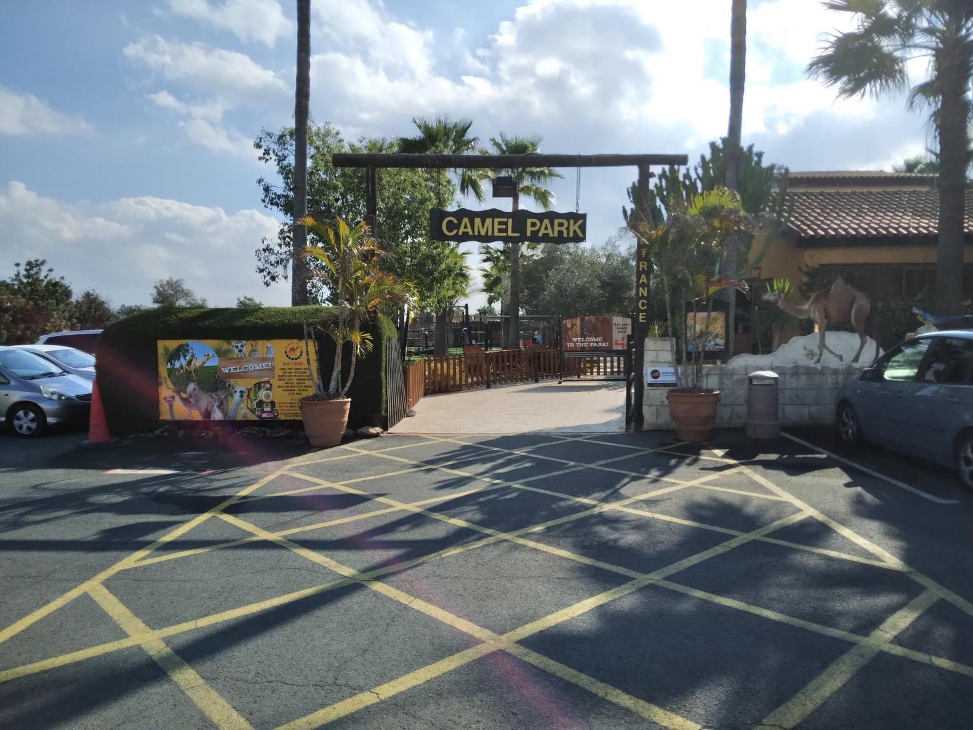 Mersinera Paradise Garden Stars House Larnaca Dış mekan fotoğraf
