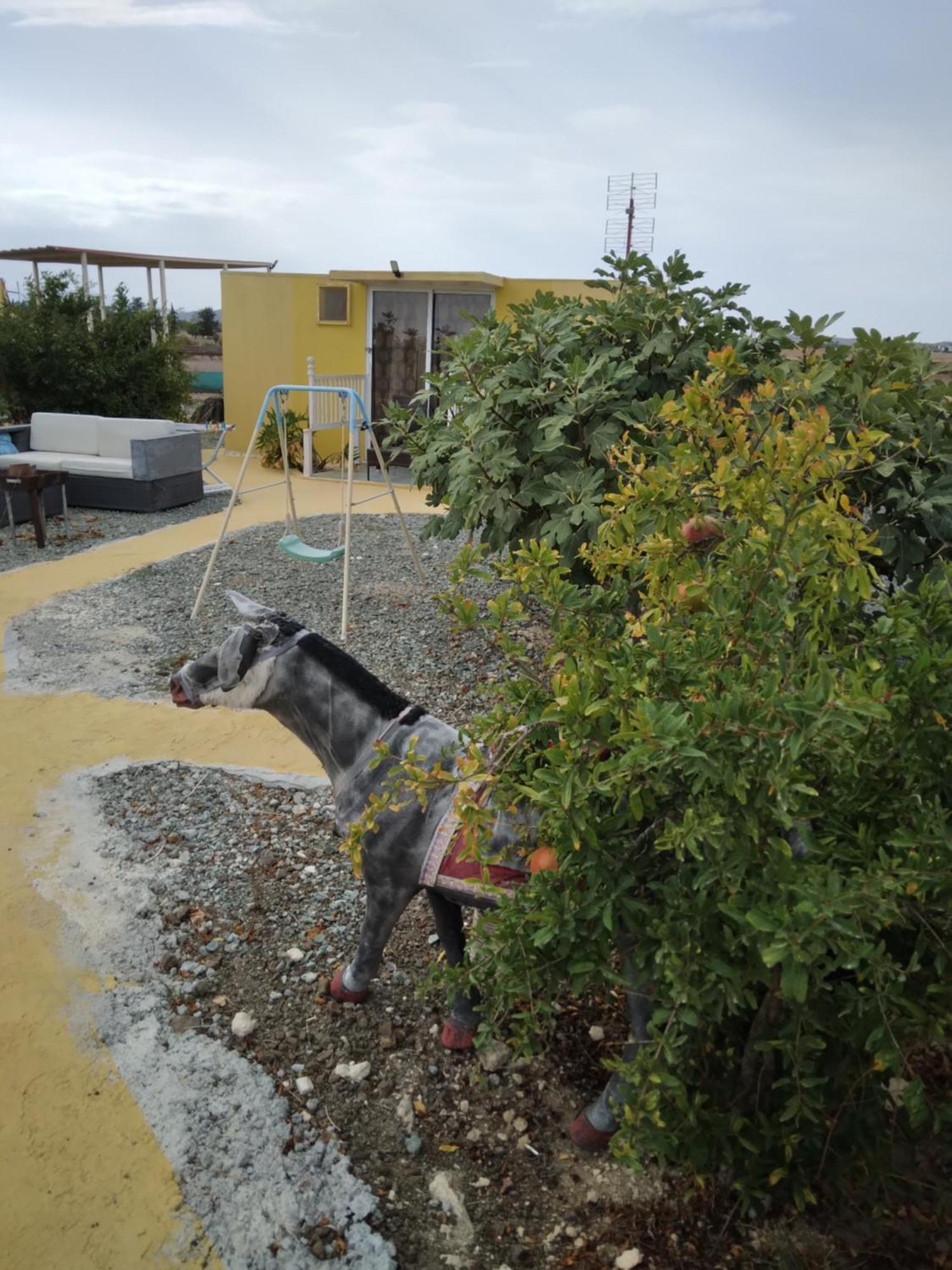 Mersinera Paradise Garden Stars House Larnaca Dış mekan fotoğraf